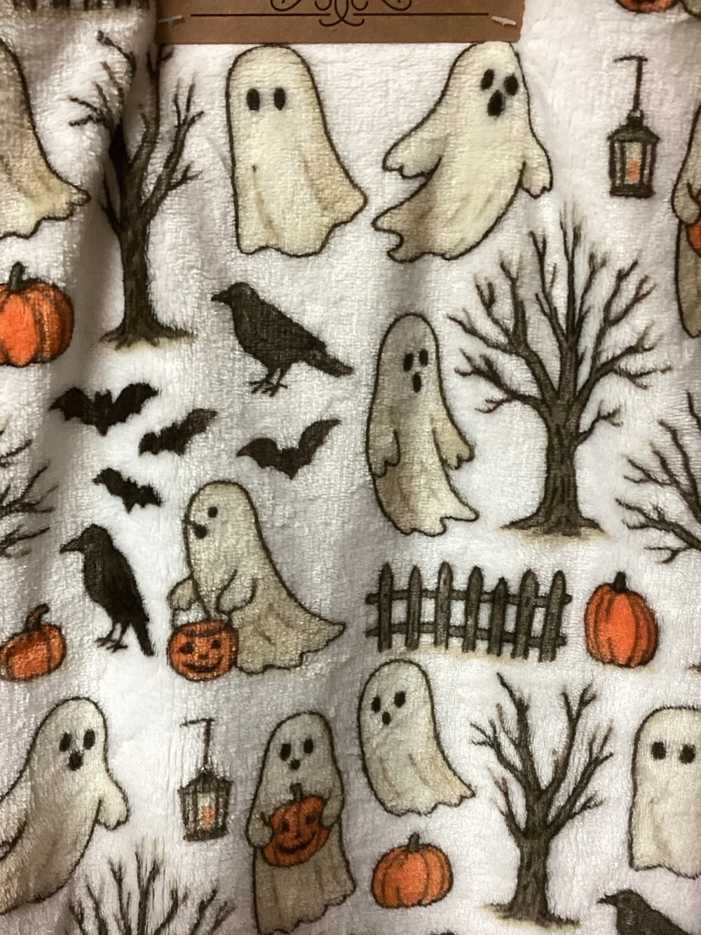 Halloween Ghosts and Crows Throw Blanket 🎃 🐦‍⬛